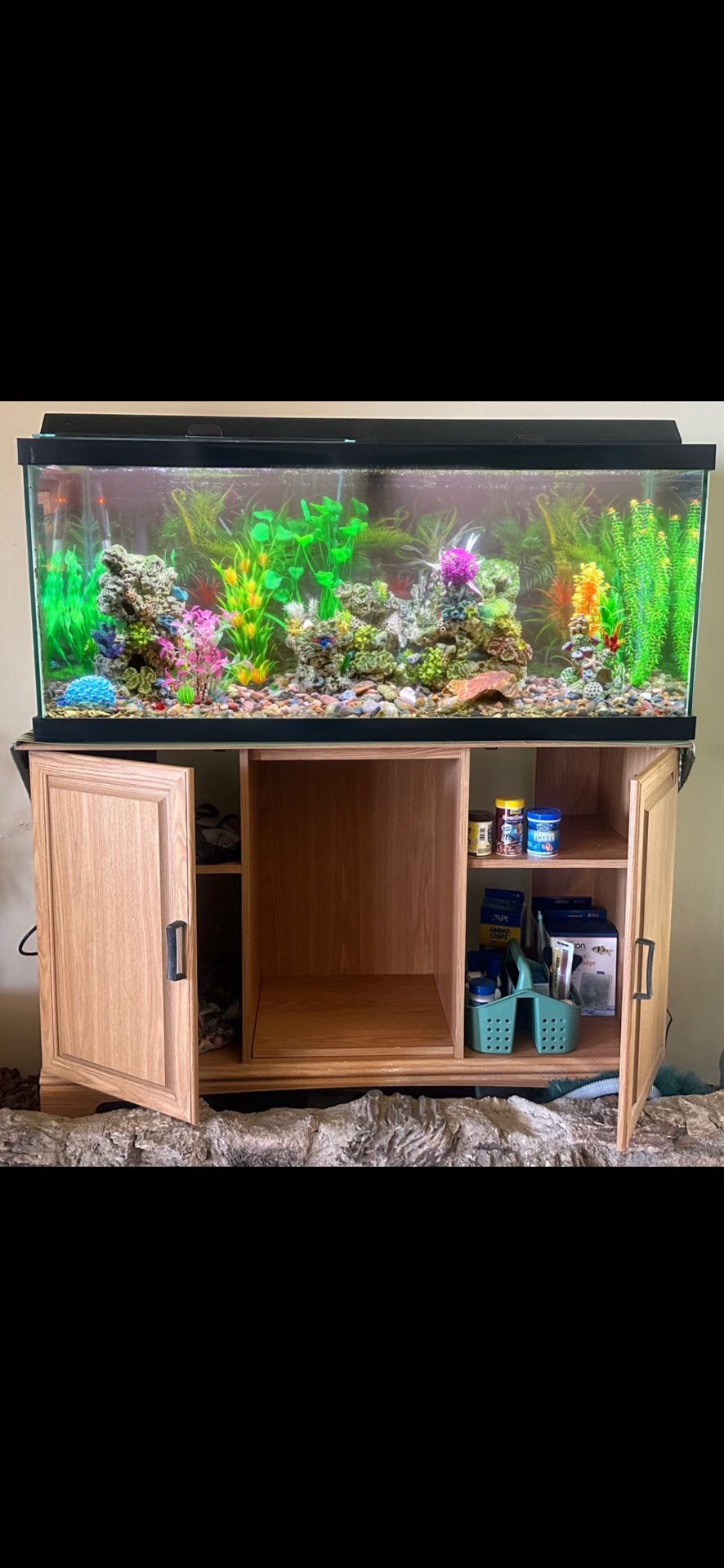 *FREE* 75 Gallon Fish Tank w 5 Fish