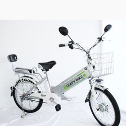 Leafy Electric Bike (Brand New)