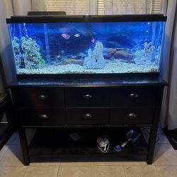 75 Gallon Fish tank 