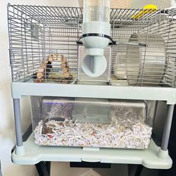 Hamster Cage House With Accessories, Food & More 