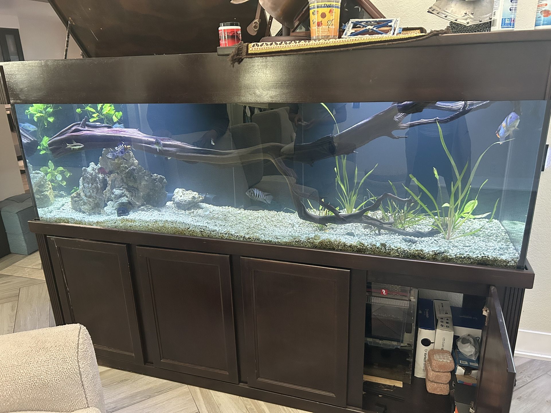 Fish Tank