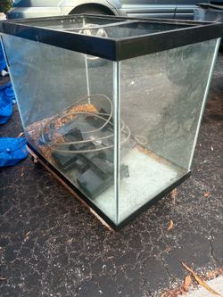 Fish Tank