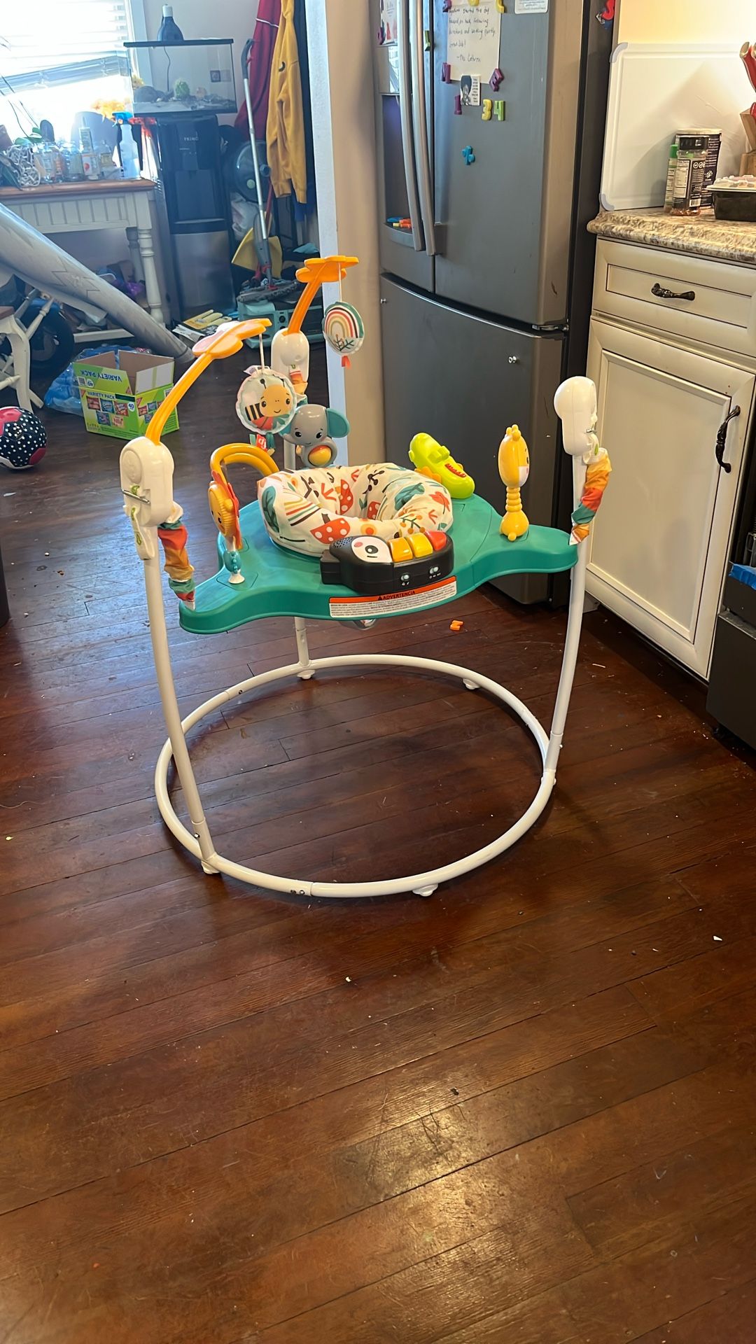 Baby Bouncer