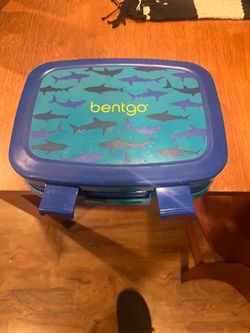 Kids shark themed lunchbox