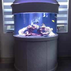 90 Gallon Half Cylinder Fish Tank 
