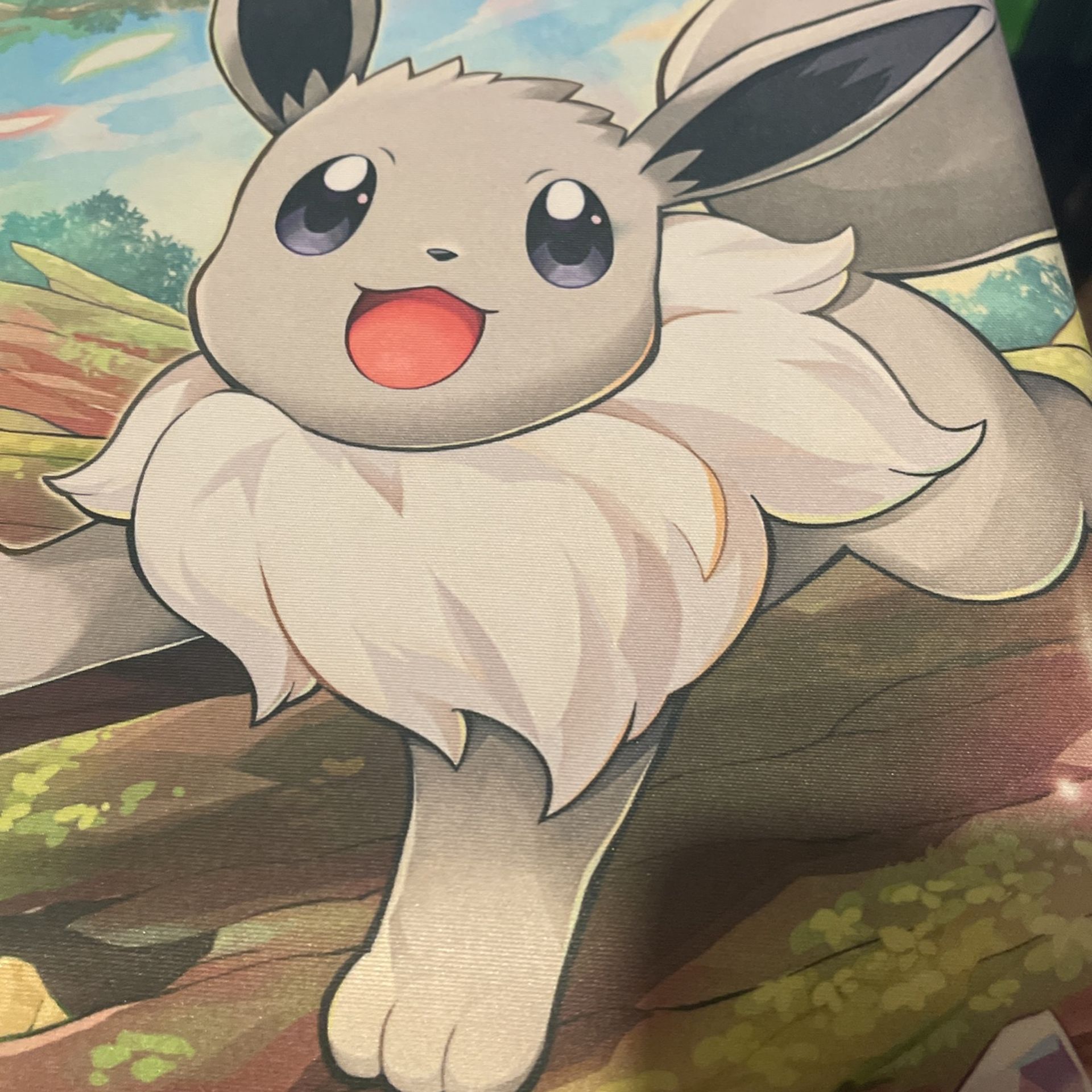 Pokémon Go Eevee Play Mat