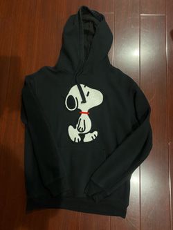 Snoopy hoodie fits like a M