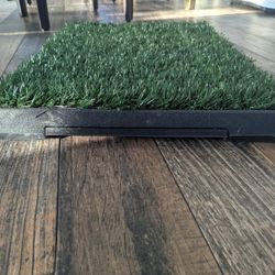 Dog Indoor  "lawn"