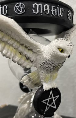 Owl 🦉 Timer. Table Decor.  Glass Broken 