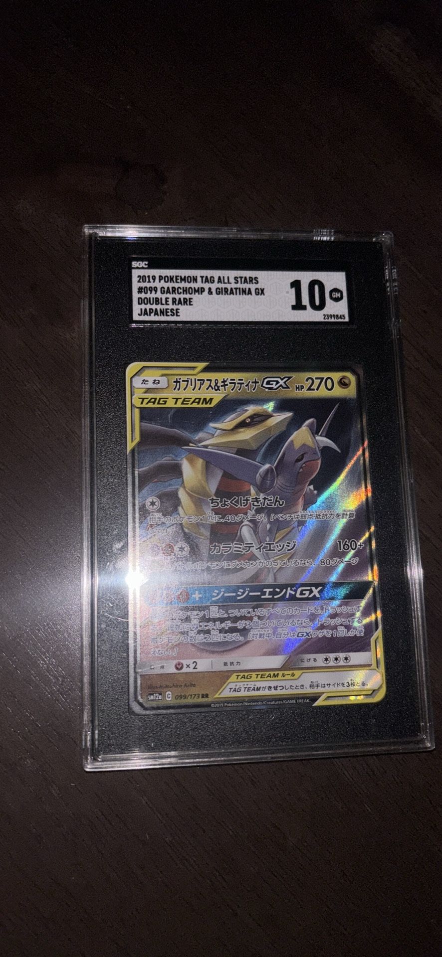 Garchomp And Giratina Tag Team 10