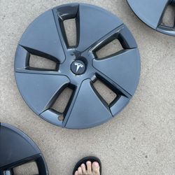 Tesla Hubcaps 