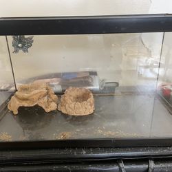 Reptile Tank 