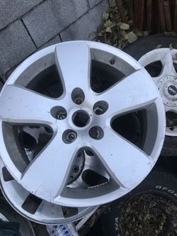 Ram. Wheel