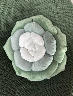 Cozy Succulent Plush Pillow