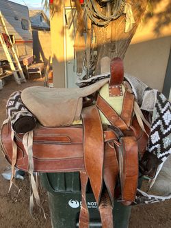 Escaramuza saddle