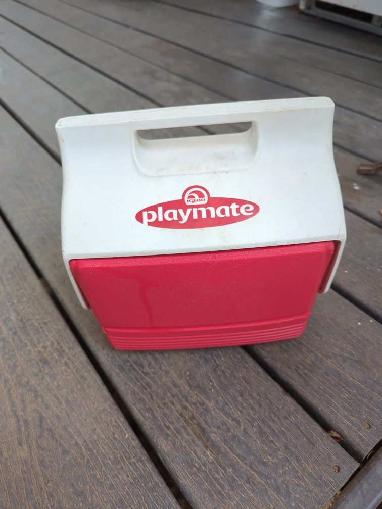 Small Igloo Ice Chest Cooler