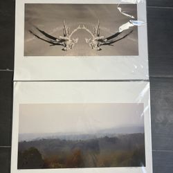 Catskill Photographic Prints - 27” x 17”