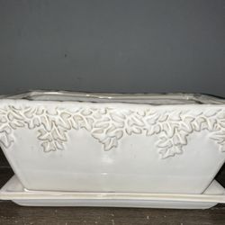 Plant Holder