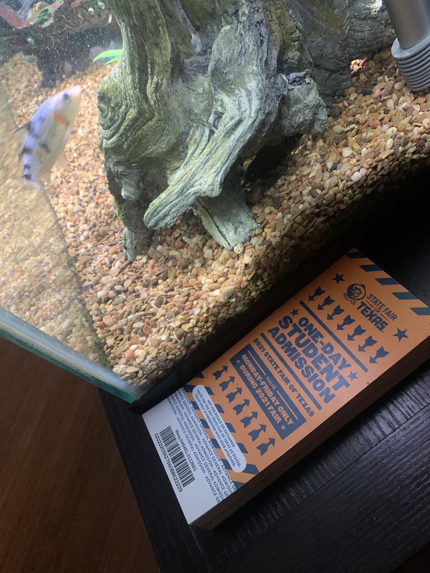 Fair Tickets “LAST DAY TO USE” $5