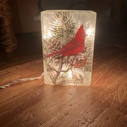 Cardinal Box Light