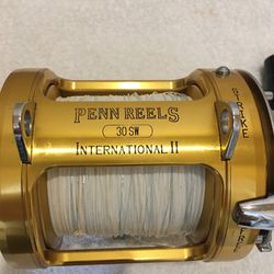 Penn International 30 SW (2-Speed) Fishing Reel (Includes New