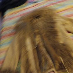 Fur Coat