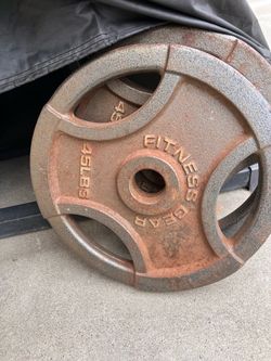 45lb lifting plates