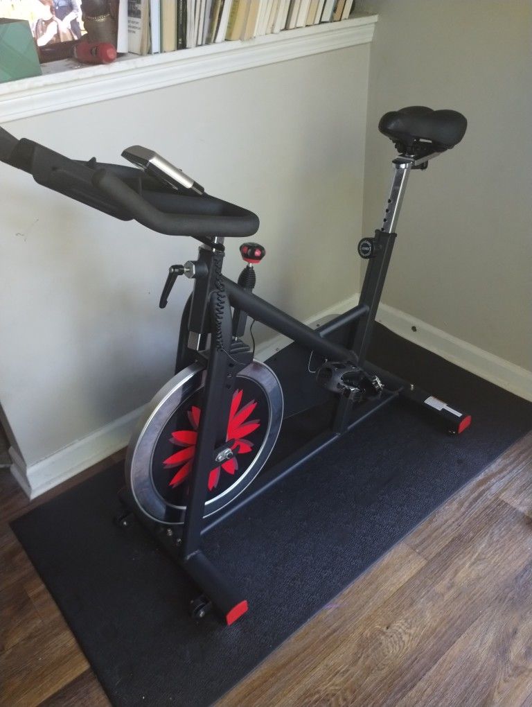 Joroto Indoor Cycling Bike
