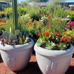 Concrete Pots 