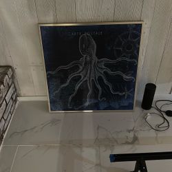 Picture of octopus