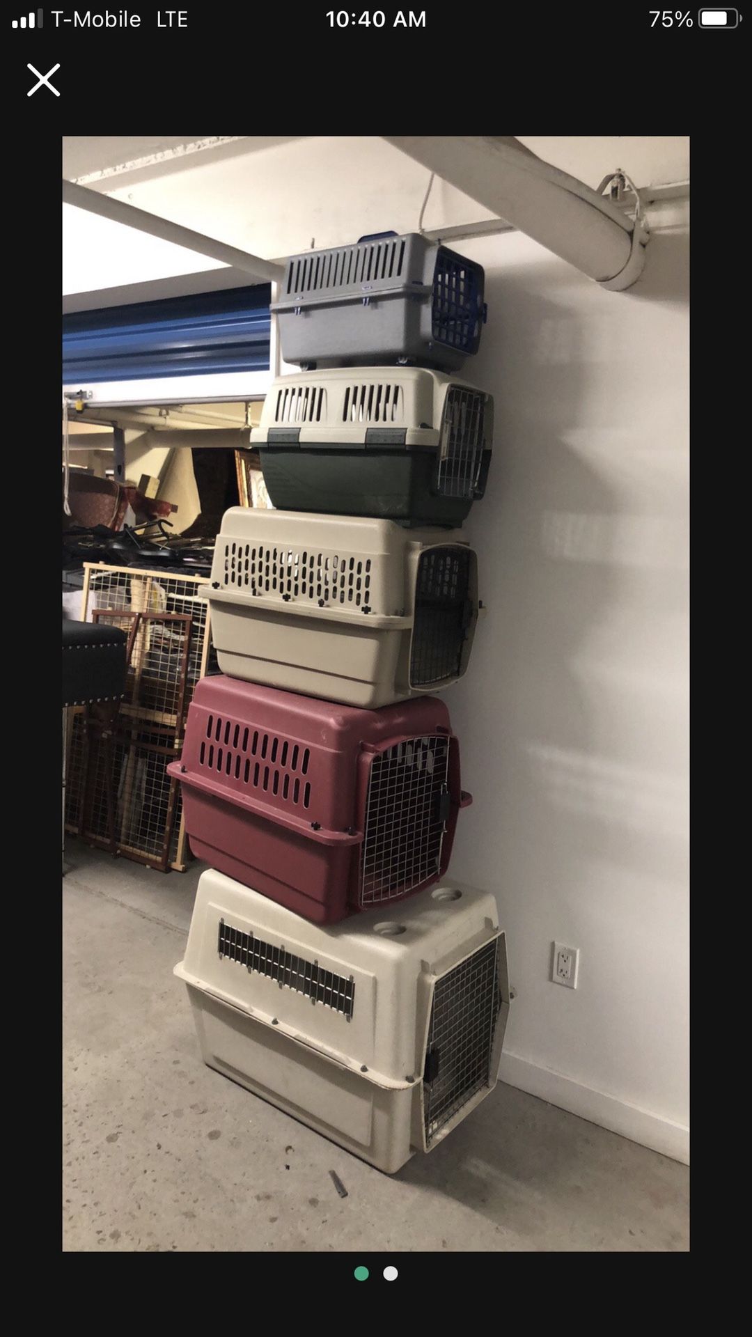 All Size Dog 🐶 Cages