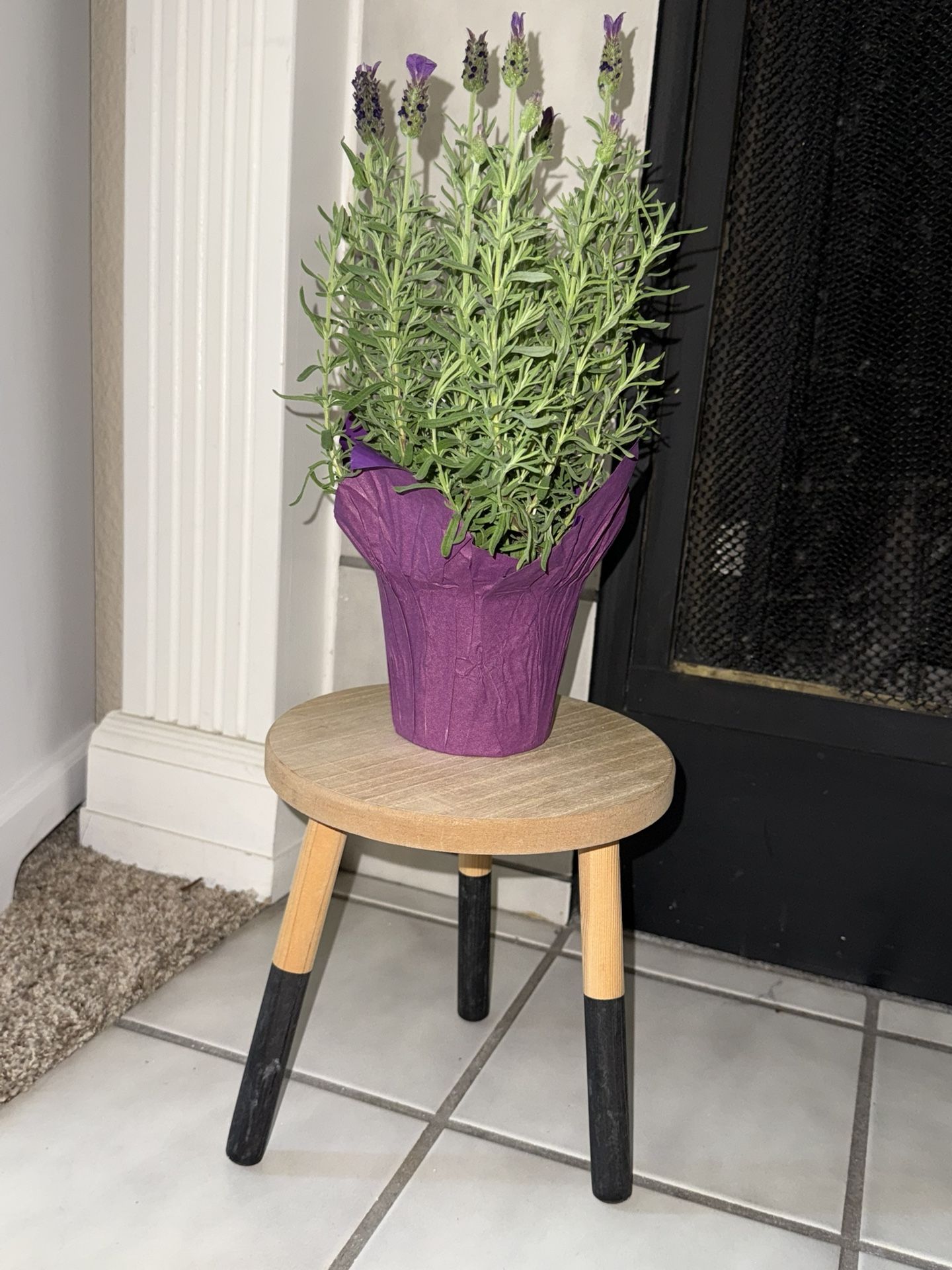 Wooden decor shelf