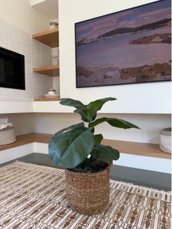Faux 36" Fig in Handwoven Boho Basket. Fake plant.