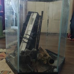 20 Gallon Hexagon Fish Tank