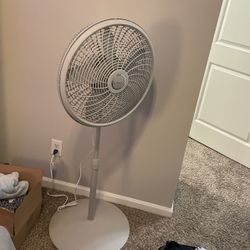 Fan 