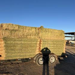 hay stack