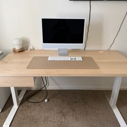 Ergonofis Sway Standing Desk