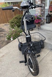 Falcon 48 SLA Electric Scooter