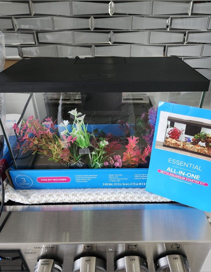 3 Gallon Fish Tank