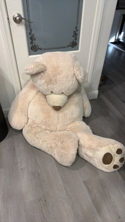 Irvine 92618, Free stuffed animal life size teddy bear