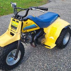 Suzuki Trail Buddy ALT50