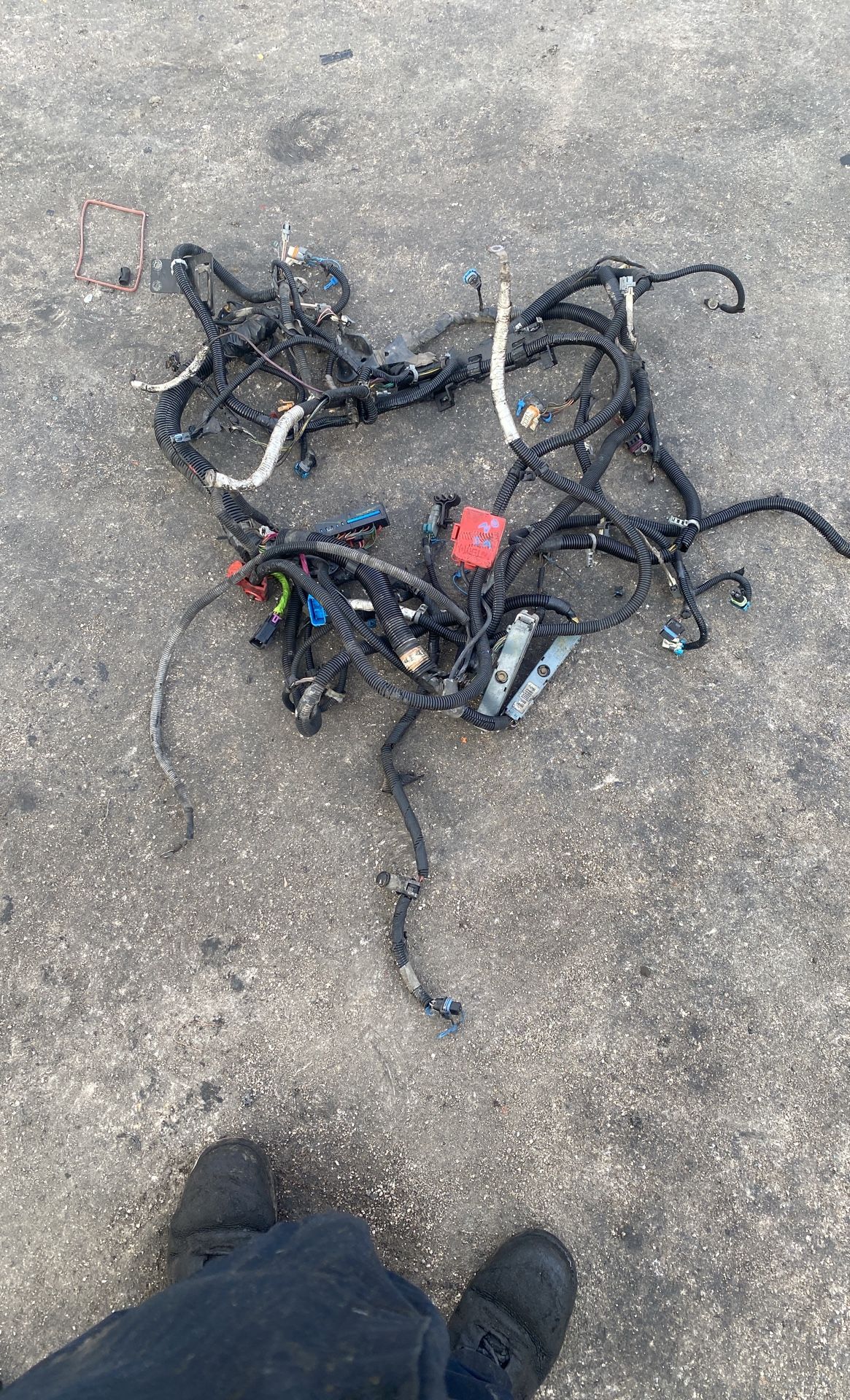 02 Escalade Complete Harness Motor To Trans