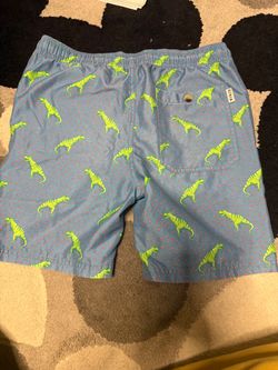 Boys Dinosaur and Pineapple Print Swim Shorts