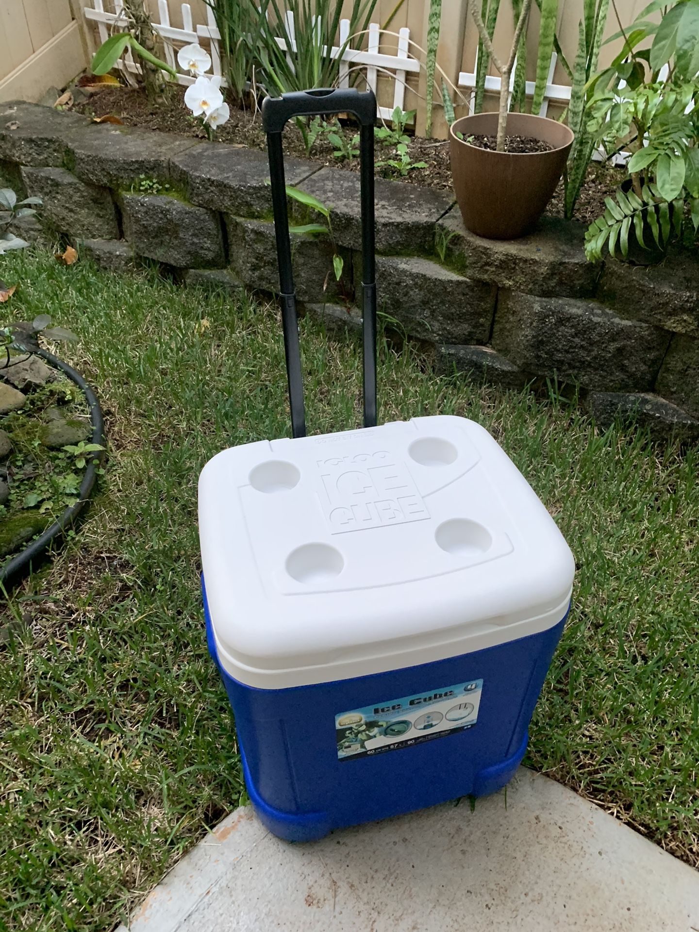 Large Igloo ice cube cooler