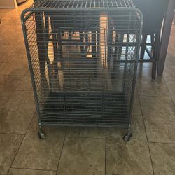 Bird Cage