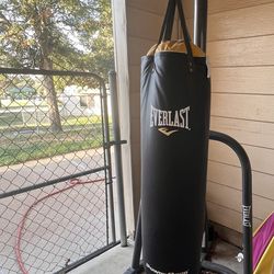 Heavy Bag With Stand , Speed Bag With Gloves $300 OBO 