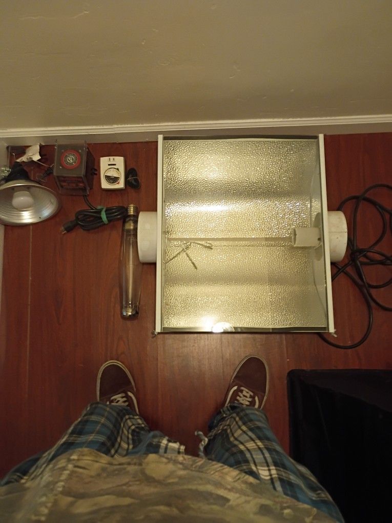 Grow Lights And Timers