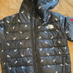 The north Face Jacket 