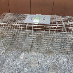 Animal Trap