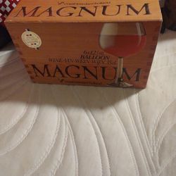 Caja Con 6 Copas New MAGNUM